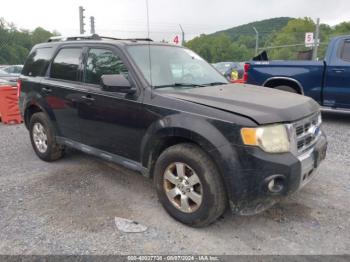  Salvage Ford Escape