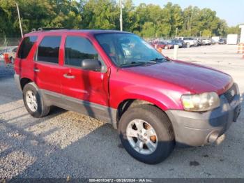  Salvage Ford Escape