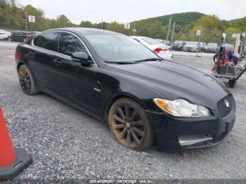  Salvage Jaguar XF