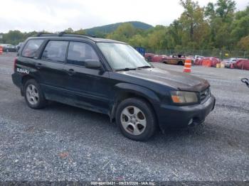  Salvage Subaru Forester