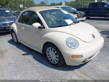  Salvage Volkswagen Beetle