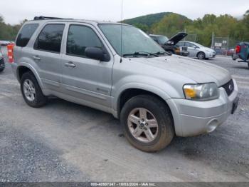  Salvage Ford Escape