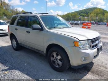  Salvage Ford Escape