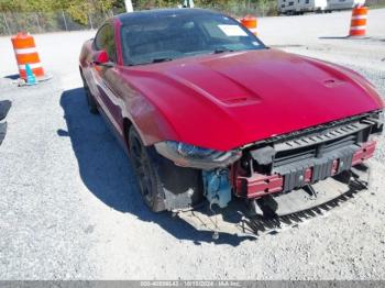  Salvage Ford Mustang