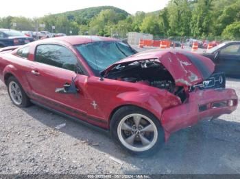  Salvage Ford Mustang