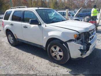  Salvage Ford Escape