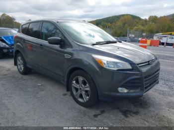  Salvage Ford Escape