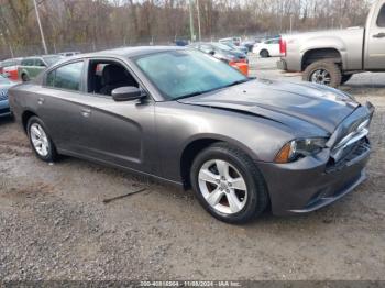  Salvage Dodge Charger