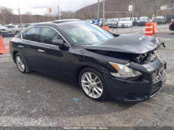  Salvage Nissan Maxima