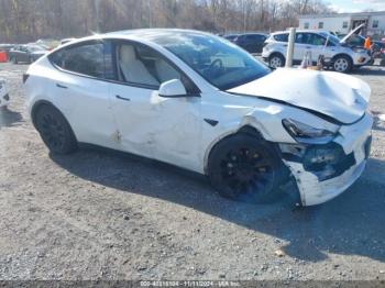  Salvage Tesla Model Y