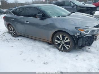  Salvage Nissan Maxima