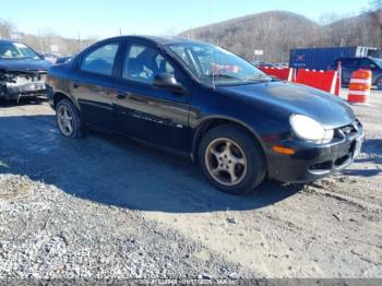  Salvage Dodge Neon