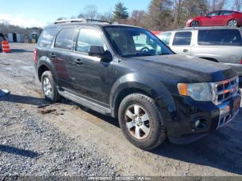  Salvage Ford Escape