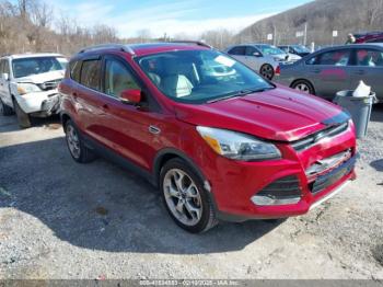  Salvage Ford Escape