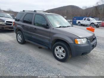  Salvage Ford Escape