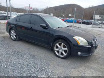  Salvage Nissan Maxima