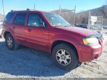  Salvage Ford Escape