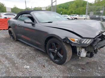  Salvage Ford Mustang