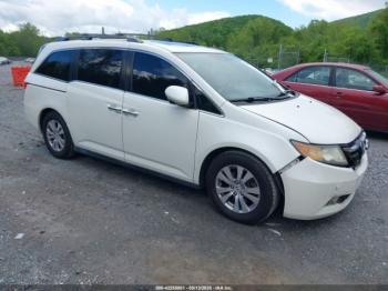  Salvage Honda Odyssey