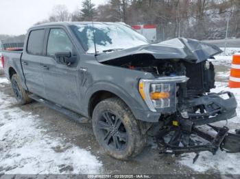 Salvage Ford F-150