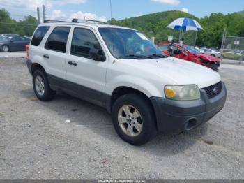  Salvage Ford Escape