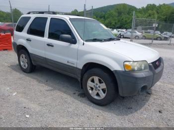  Salvage Ford Escape