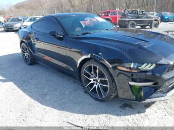  Salvage Ford Mustang