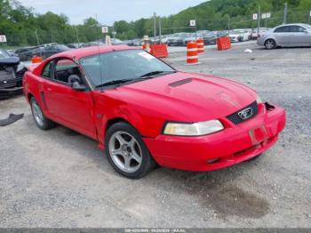  Salvage Ford Mustang