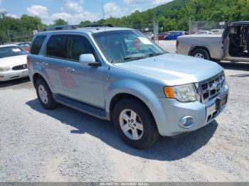  Salvage Ford Escape
