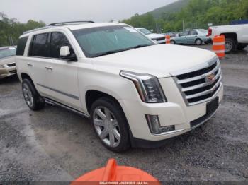  Salvage Cadillac Escalade