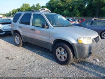  Salvage Ford Escape