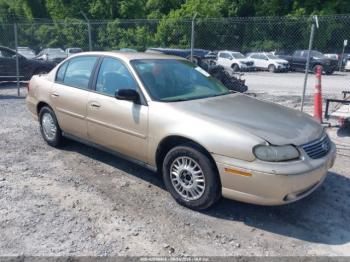  Salvage Chevrolet Malibu