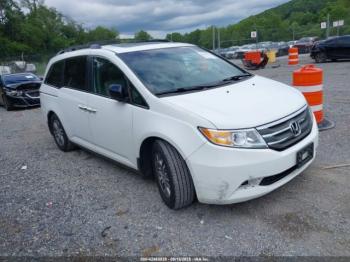  Salvage Honda Odyssey