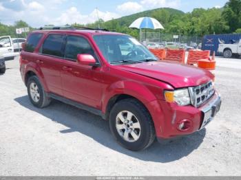  Salvage Ford Escape