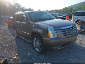  Salvage Cadillac Escalade