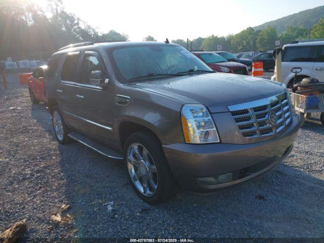  Salvage Cadillac Escalade