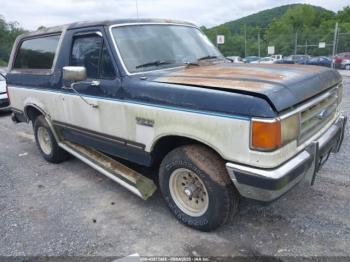  Salvage Ford Bronco