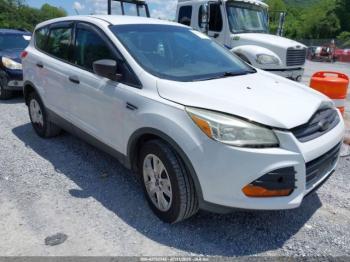  Salvage Ford Escape