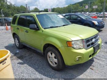  Salvage Ford Escape