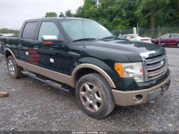  Salvage Ford F-150