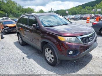  Salvage Kia Sorento