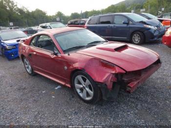  Salvage Ford Mustang