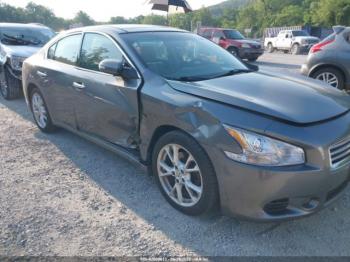  Salvage Nissan Maxima
