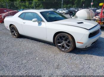  Salvage Dodge Challenger