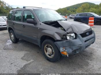  Salvage Ford Escape
