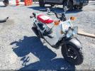 Honda Nps50 Image 1