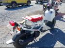 Honda Nps50 Image 4