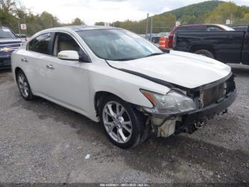  Salvage Nissan Maxima