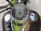 Harley-Davidson Flstc Image 6