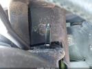 Volkswagen Beetle 2.5 Image 7